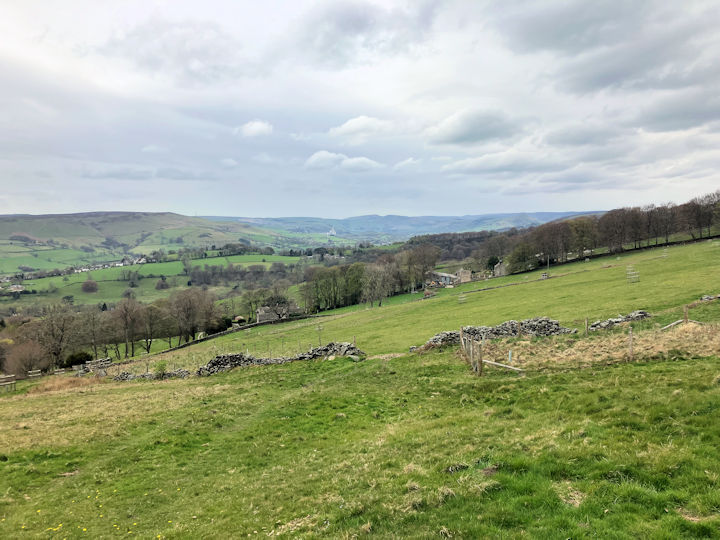 view